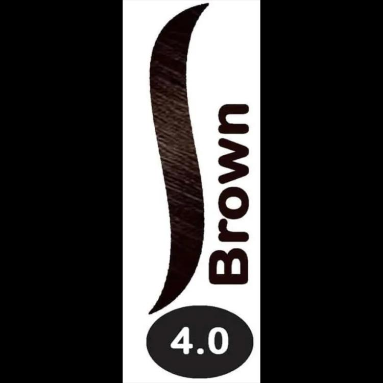 L'Oreal Paris Prodigy Permanent Oil Hair Color - 4.0 Brown