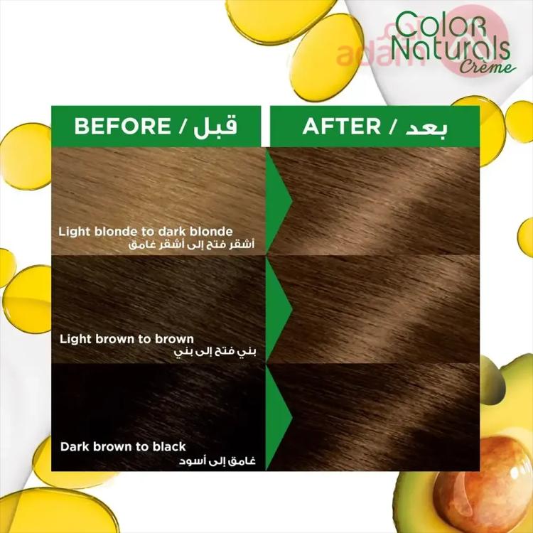 Garnier Color Naturals Creme Nourishing Permanent Hair Color - 6.1 Dark Ash Blonde (60ml+40ml+12ml)