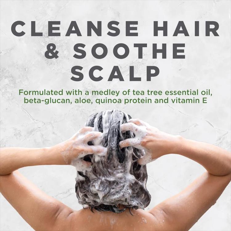 Avalon Organics Scalp Treatment Tea Tree Shampoo - 325 ml