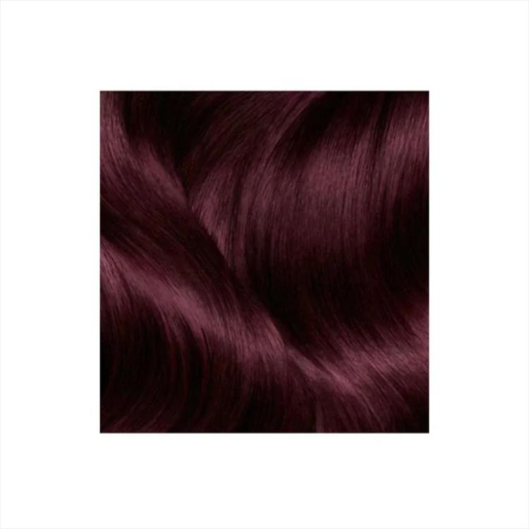 Garnier Color Naturals Creme - 3.61 Luscious Blackberry