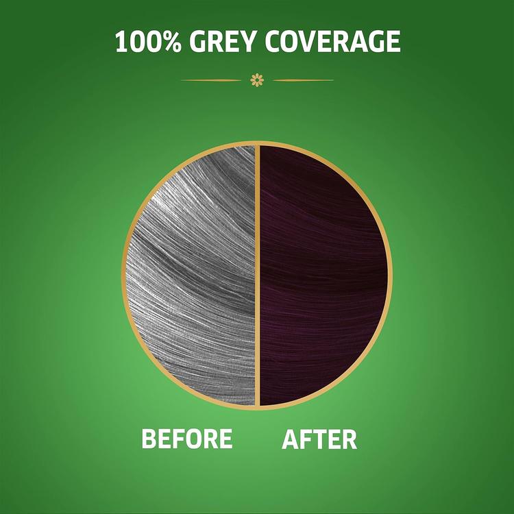 Wella Koleston Naturals Hair Dye - 3/66 Red Chestnut