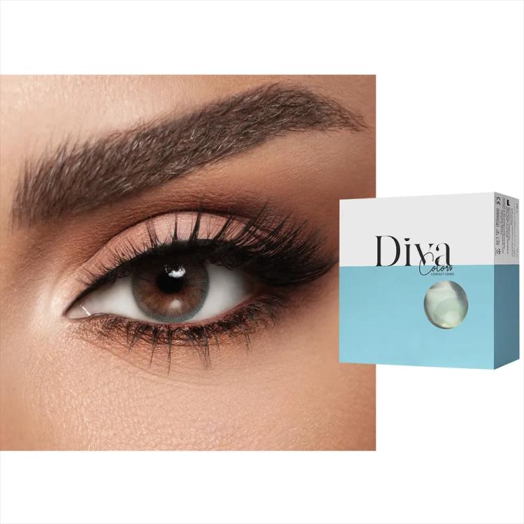 Diva Monthly Color Contact Lenses - Steel (2 Lens)