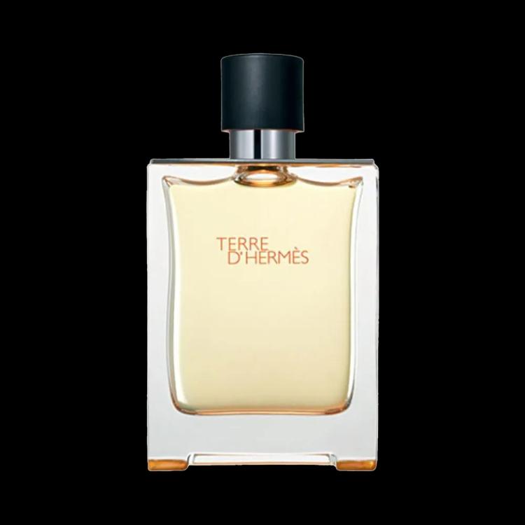 Hermes Terre d'Hermes Eau De Toilette - 200 ml