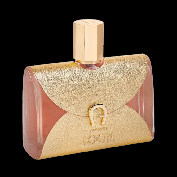 Etienne Aigner Icon Eau De Parfum - 100 ml