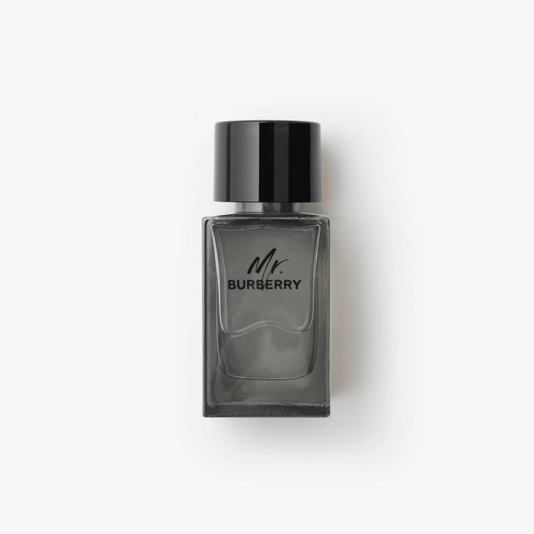 Burberry Mr. Burberry Eau De Toilette - 100 ml