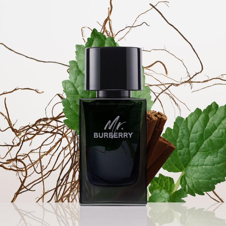 Burberry Mr. Burberry Eau De Toilette - 100 ml