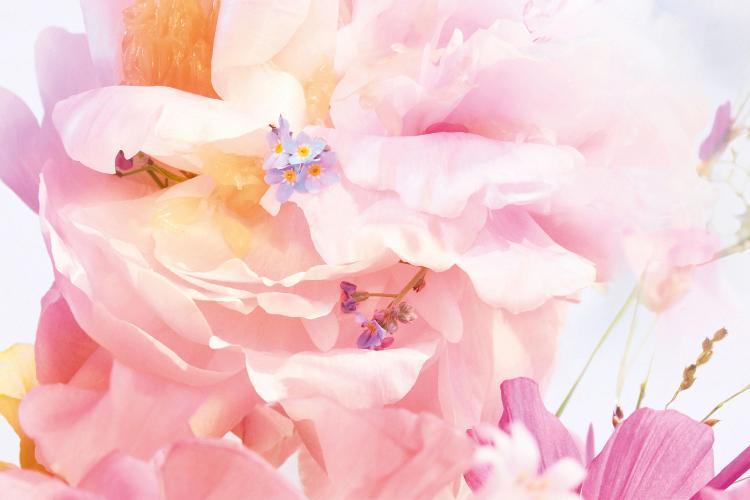 Dior Miss Dior Blooming Bouquet Eau De Toilette - 150 ml