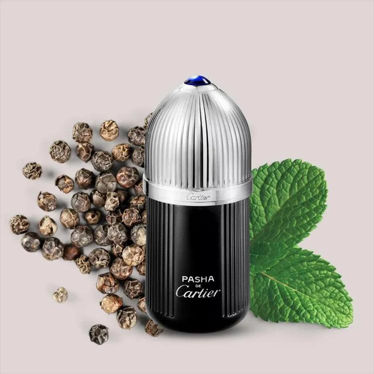 Cartier Pasha De Cartier Edition Noire Eau De Toilette - 100 ml