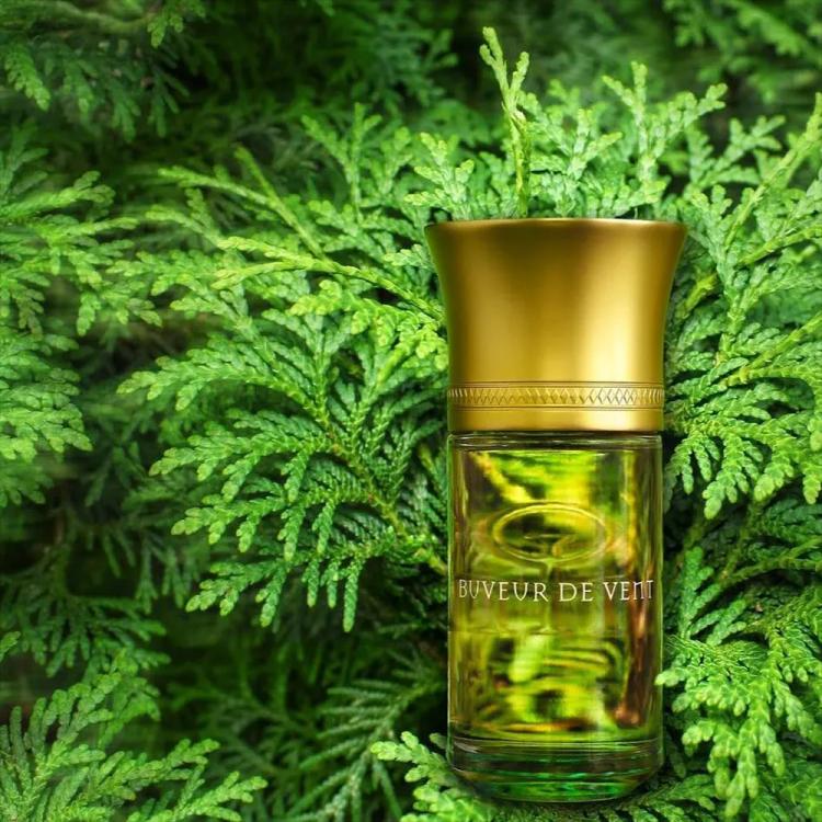 Liquides Imaginaires Buveur De Vent Eau De Parfum - 100 ml