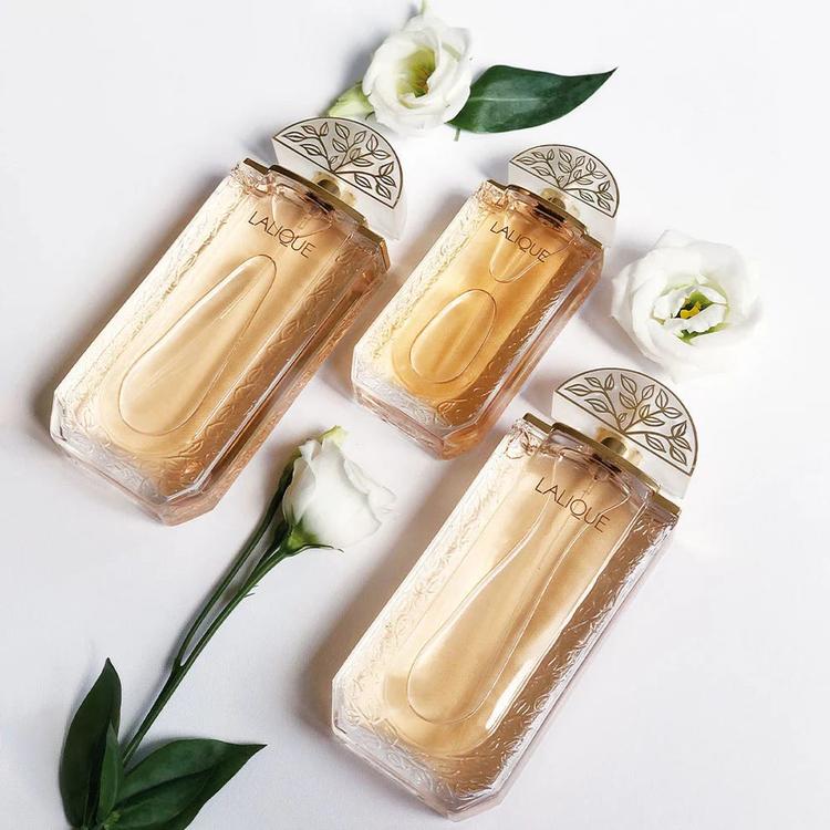 Lalique Eau De Parfum - 100 ml