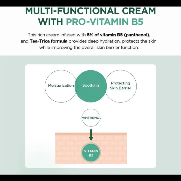 Skin1004 Madagascar Centella Tea-Trica B5 Cream - 75 ml