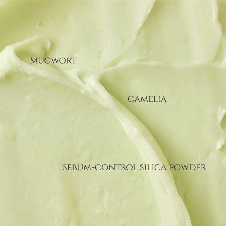 Beauty of Joseon Matte Sun Stick Mugwort + Camelia SPF 50+ - 18 g