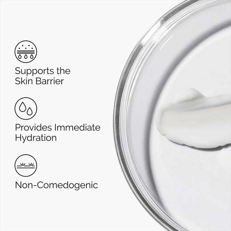 The Ordinary Natural Moisturizing Factors + HA - 30 ml
