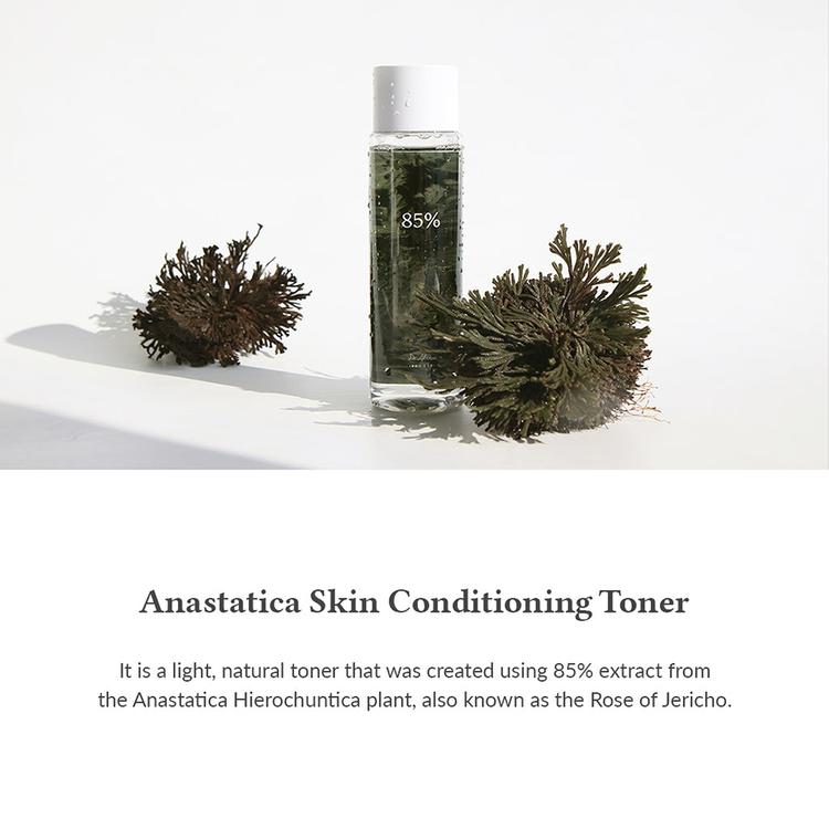 Dr. Althea Anastatica Skin Conditioning Toner
 - 250 ml